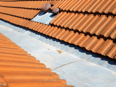 About Leaking Skylight Repair Pros Merriman, NE